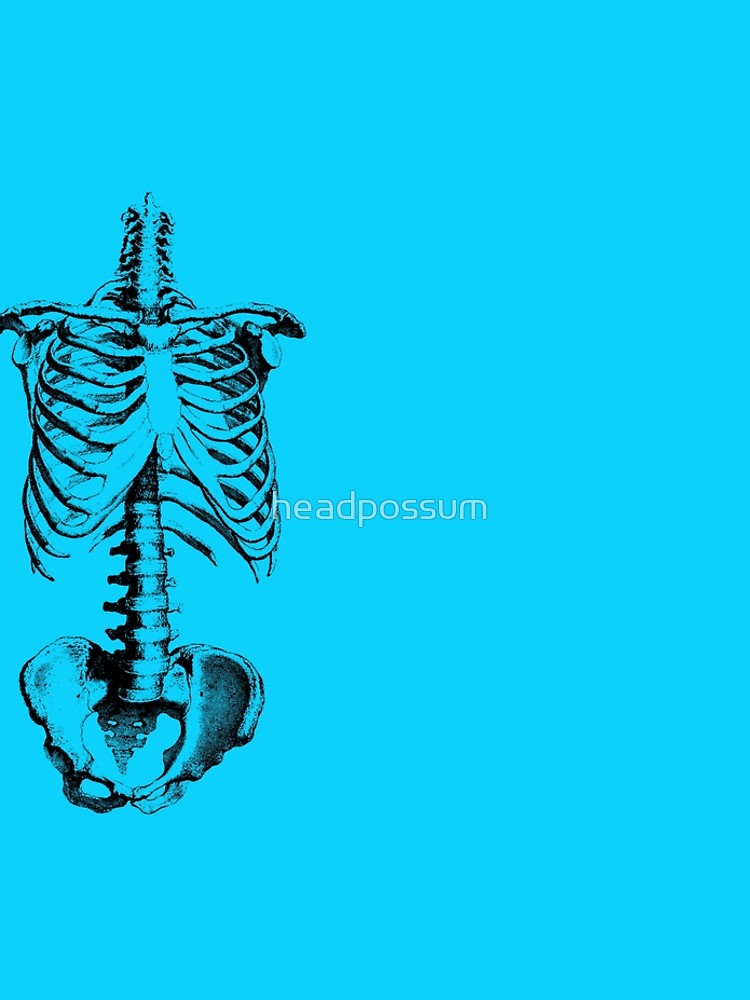 750x1000 Sleleton Drawing Of Ribs, Torso And Pelvis Leggings