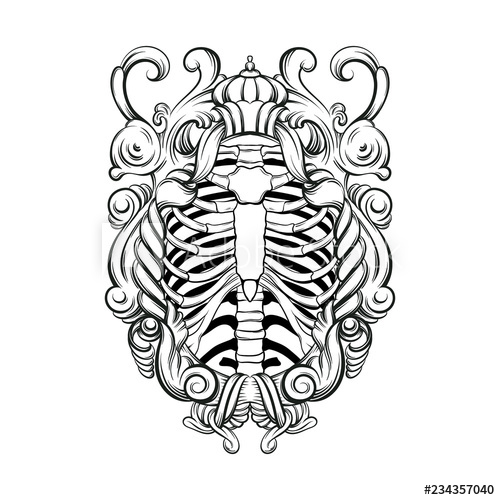 500x500 Vector Hand Drawn Illustration Of Human Ribs With Baroque Frame