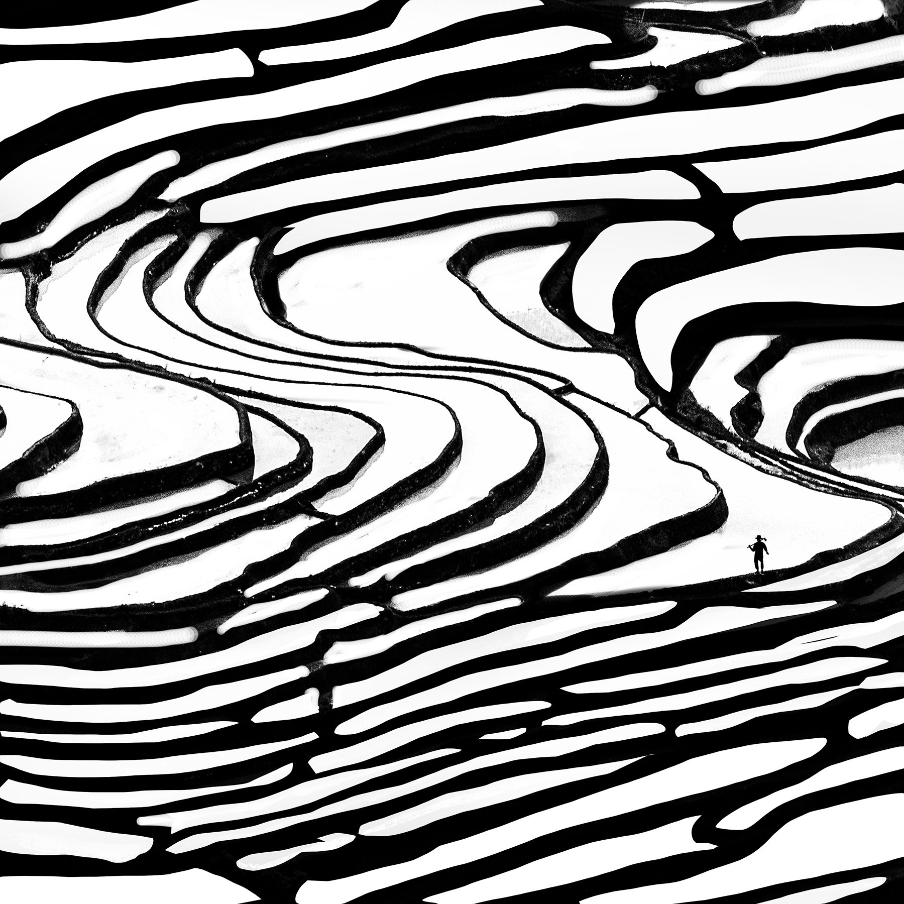 1800x1800 Photography, Digital, Rice Field In Huanyang