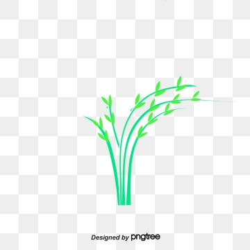 360x360 Rice Field Png Images Vectors And Free Download