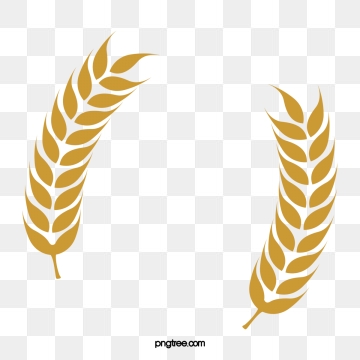 360x360 Rice Png Images Vectors And Free Download