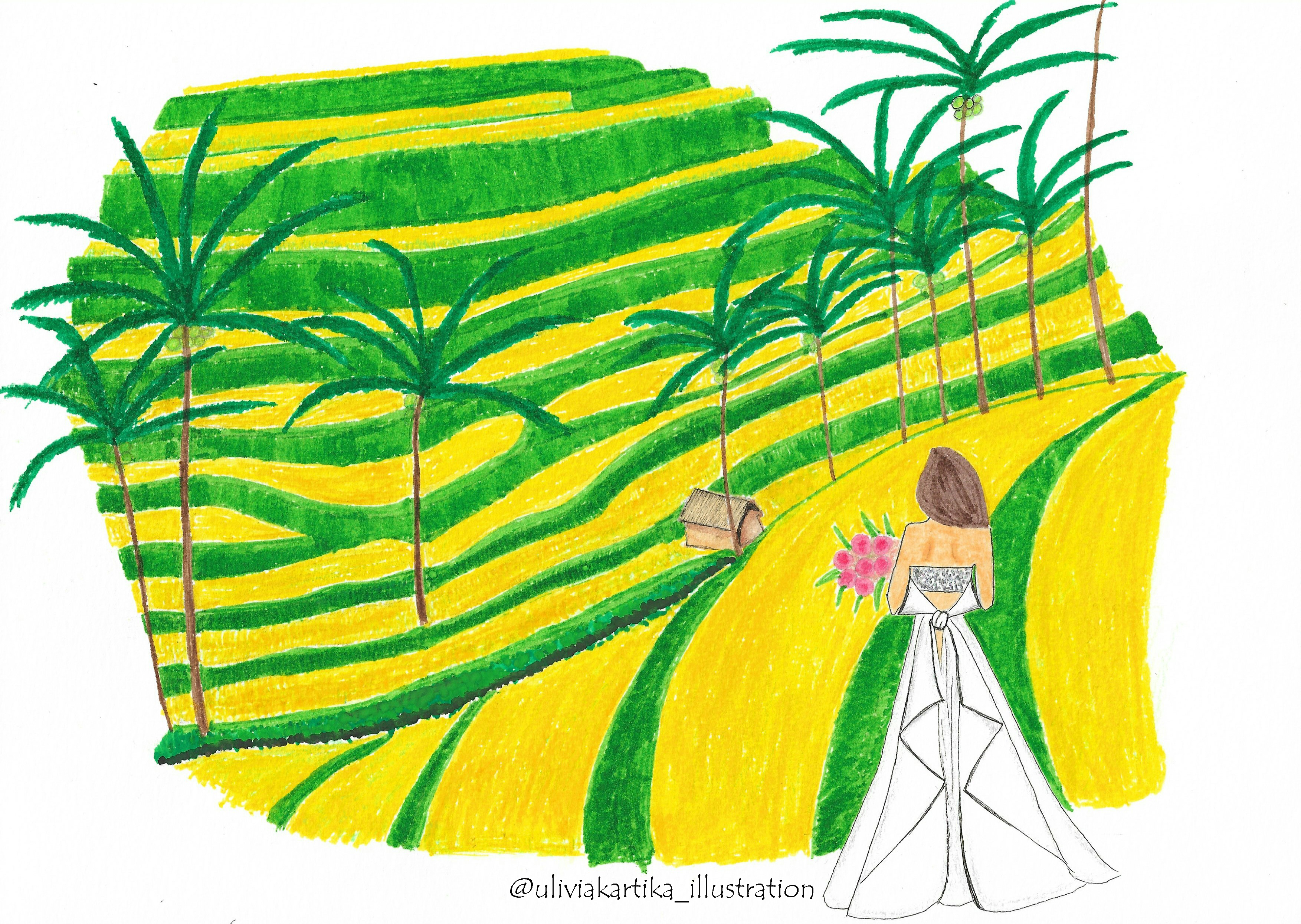 3506x2490 ubud terraced rice paddies, bali uliviakartika