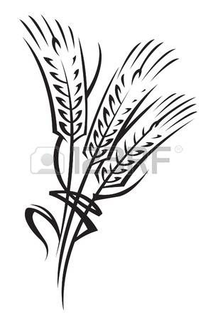 300x450 Rice Plant Clipart Black And White