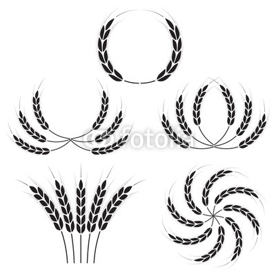 400x400 Wheat Ears Or Rice Icons Set Agricultural Symbols Isolated