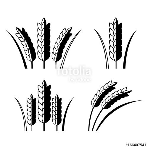 500x500 Icon Rice, Vector Stock Image And Royalty Free Vector