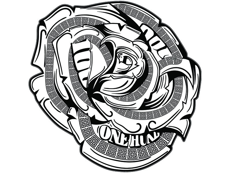 798x600 Money Rose Cash Dollar Bills Rich Paid Currency Etsy