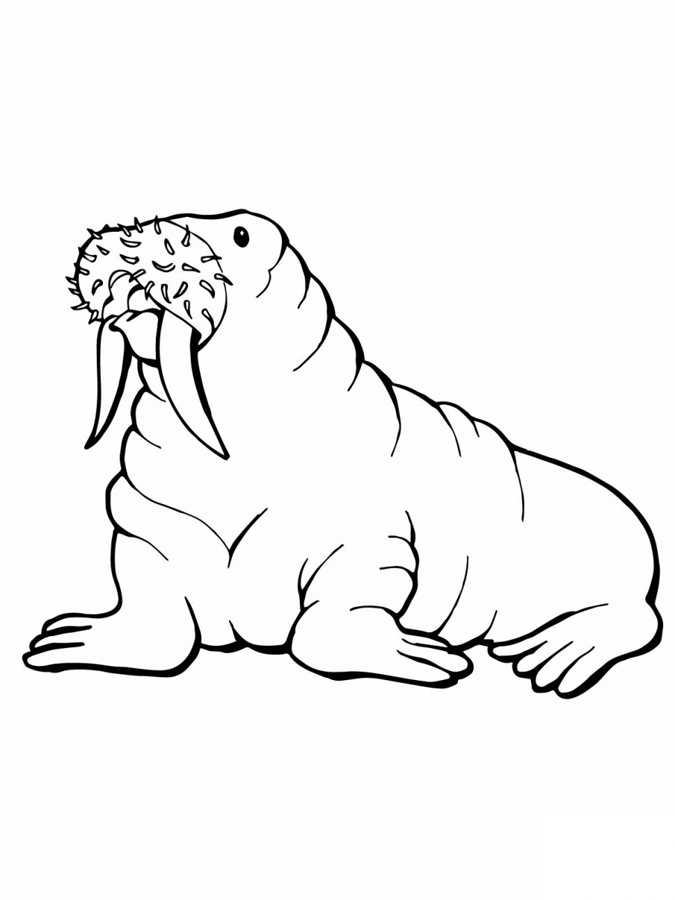 970x1293 Walrus Drawing Kid For Free Download