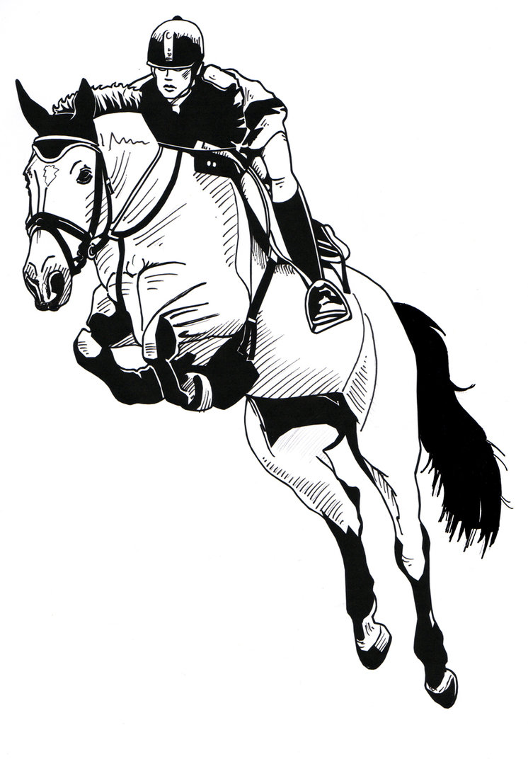 746x1072 Horse Riding Clipart Equestrian Jumping