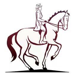 250x250 Art Of Riding Dressage, Horse Training Martin County