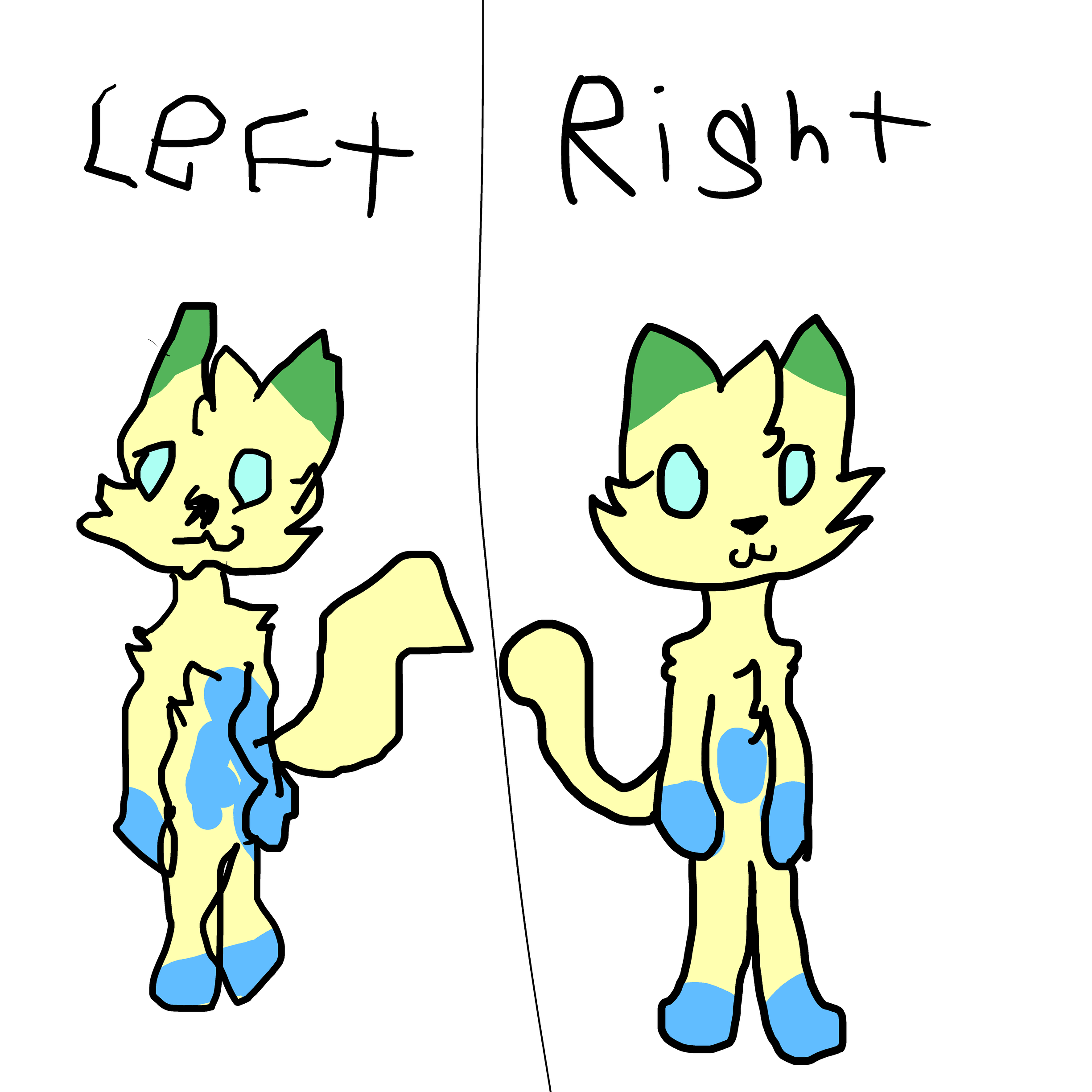 2449x2449 Left And Right Hand Drawing