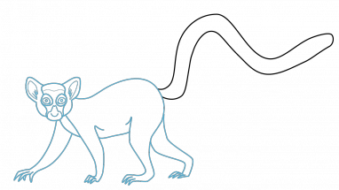 382x215 Collection Of Free Lemur Drawing Transparent Download On Ui Ex