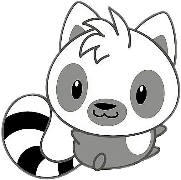 578x576 Download Freetoedit Cute Kawaii Racoon Grey White Black