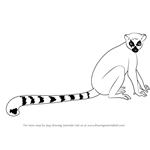 150x150 Learn How To Draw A Ring Tailed Lemur