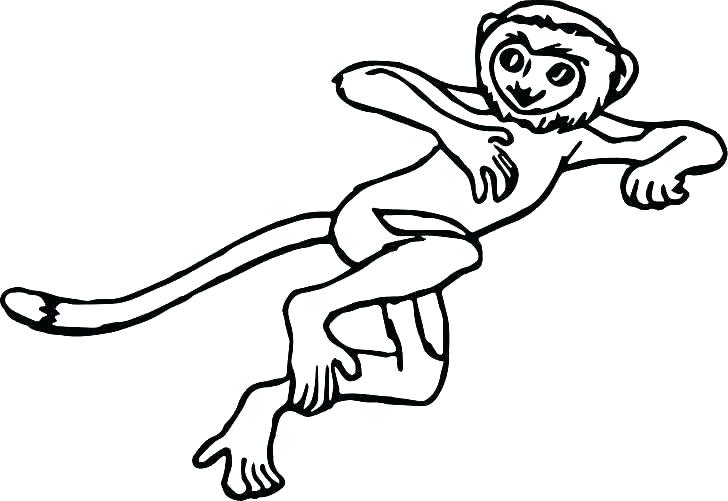 728x501 Lemur Coloring