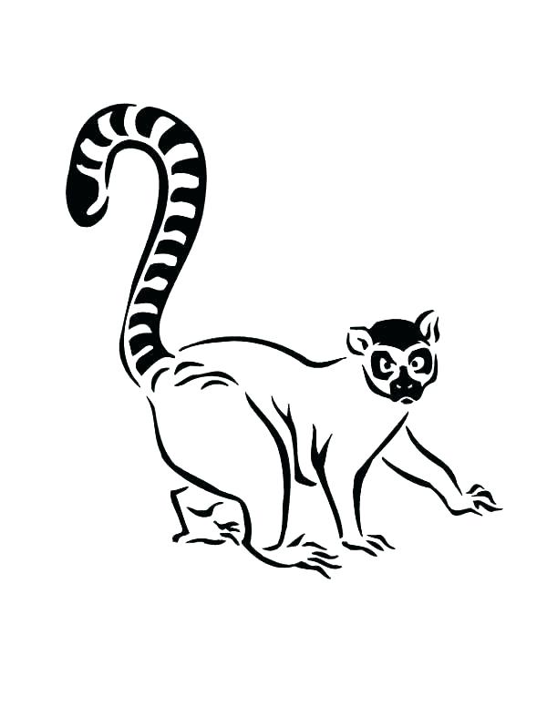 600x776 Lemur Coloring