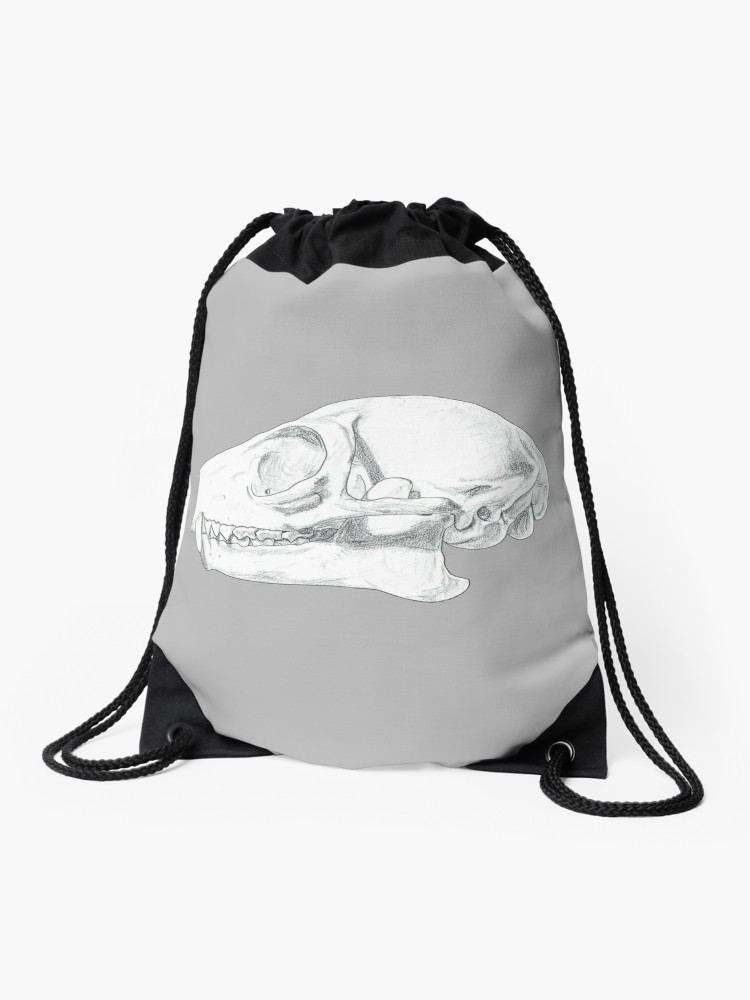 750x1000 Ring Tailed Lemur