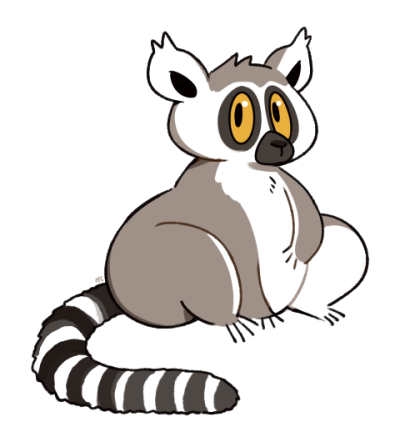 400x442 Ring Tailed Animal Tumblr