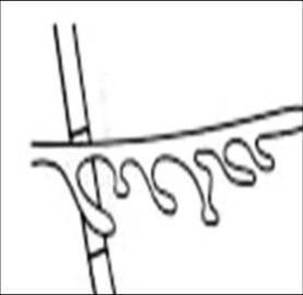 277x270 Biold Study Guide