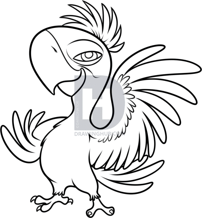 668x720 How To Draw Tiago From Rio Step