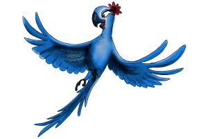 300x200 How To Draw Jewel From Rio