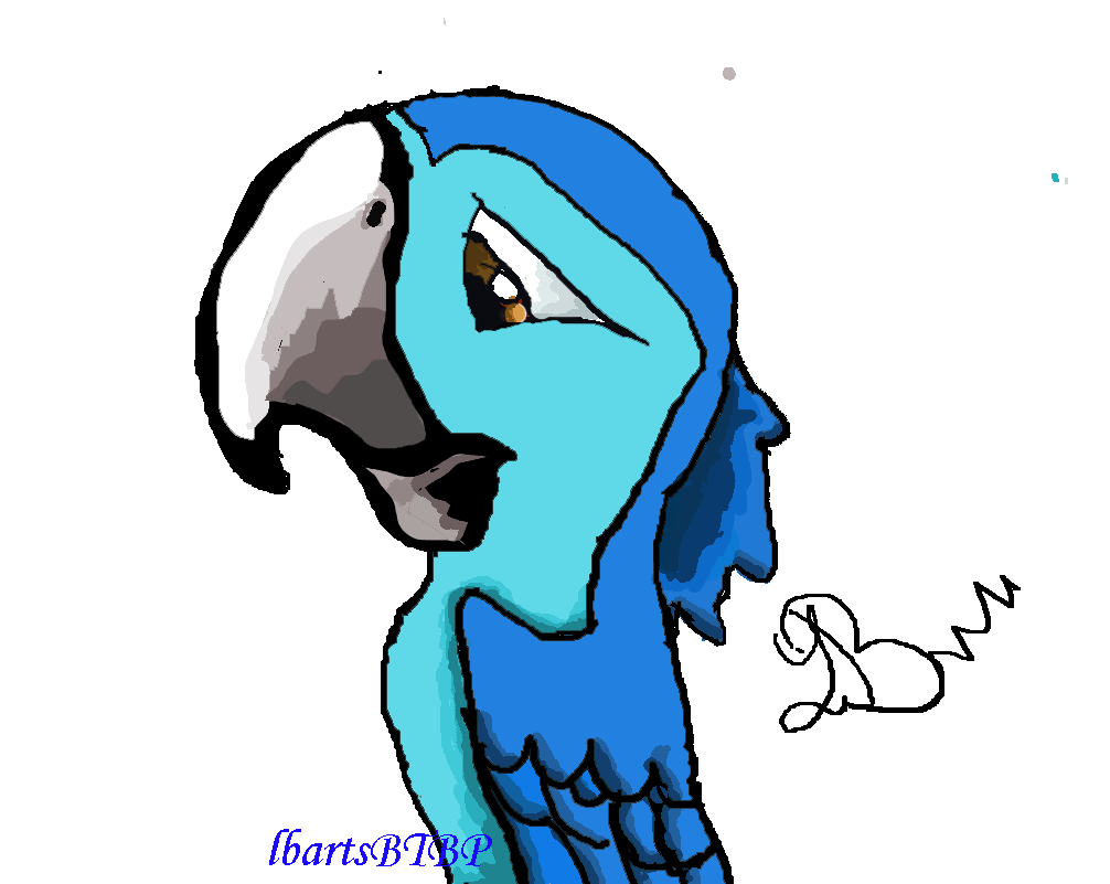 1006x801 Riolost Bia