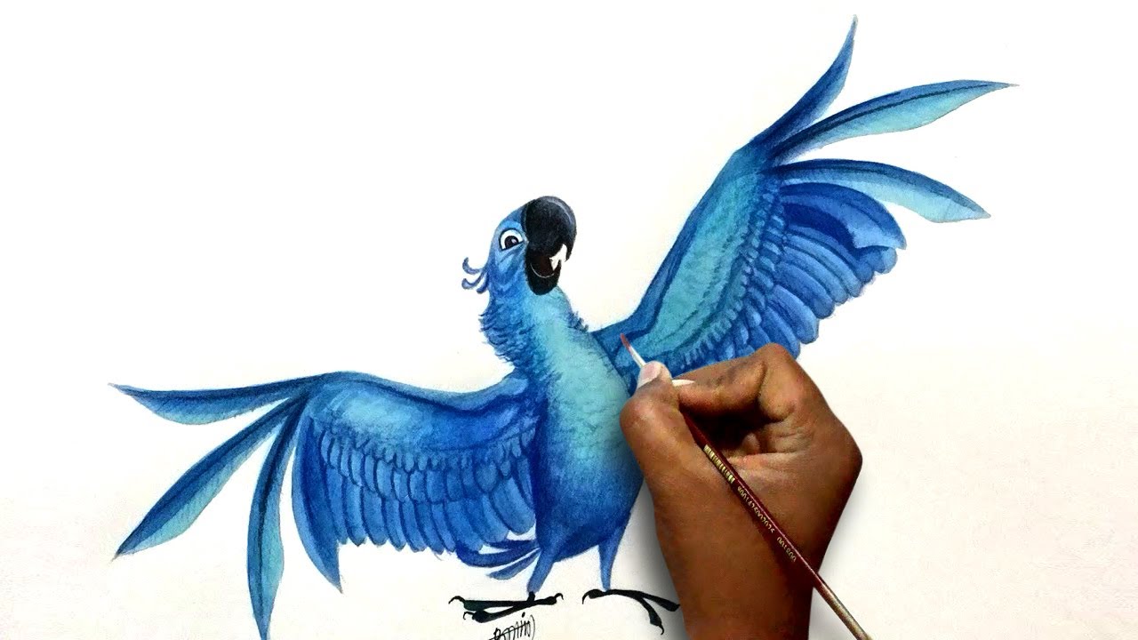 1280x720 How To Draw Blu Character Rio Speed Drawing