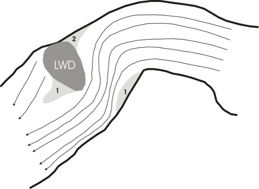 842x614 Influence Of Riparian Vegetation On Near Bank Flow Structure