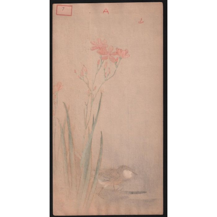 700x700 Koson Pipit On Riverbank Things Japanese