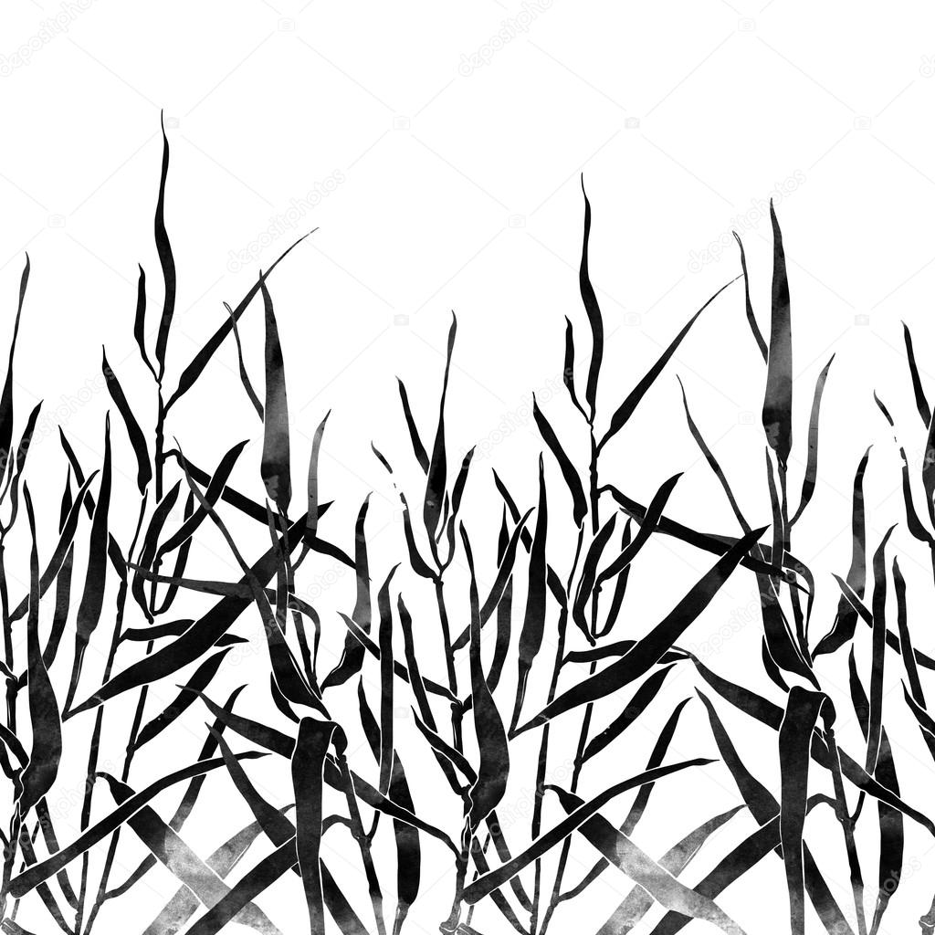 1024x1024 River Drawing Grass For Free Download