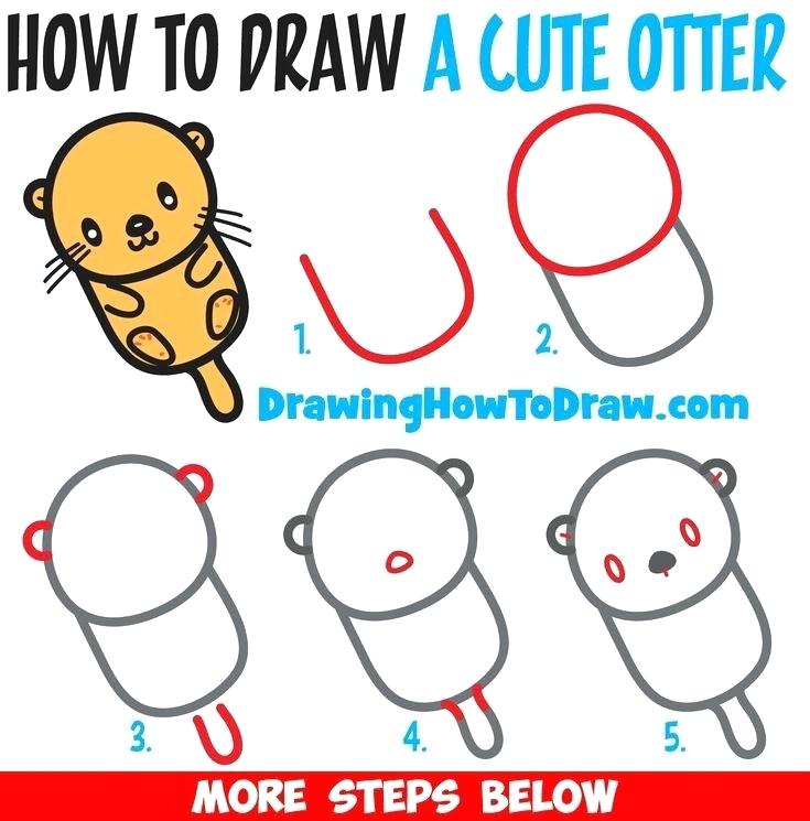 735x745 How To Draw An Otter Step