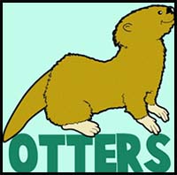 200x198 how to draw cartoon otters realistic otters drawing tutorials