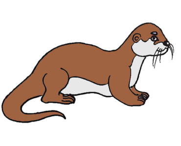 370x297 How To Draw An Otter Cute Archives