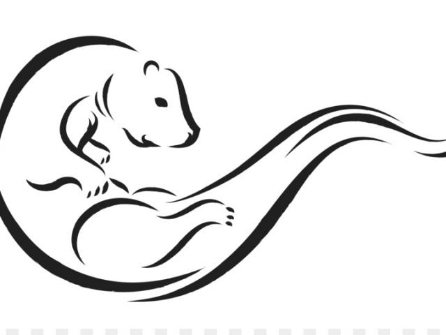 640x480 mongoose clipart river otter
