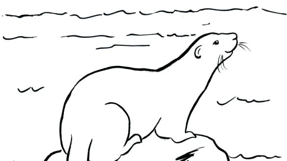 585x329 river coloring pages drawn river coloring book river otter