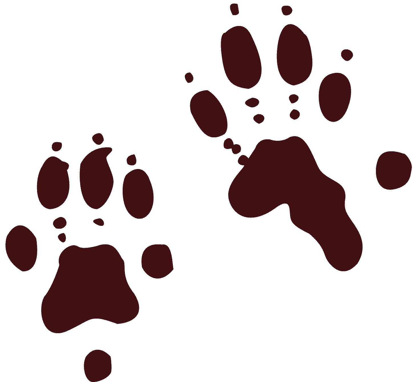 1448x1338 River Otter