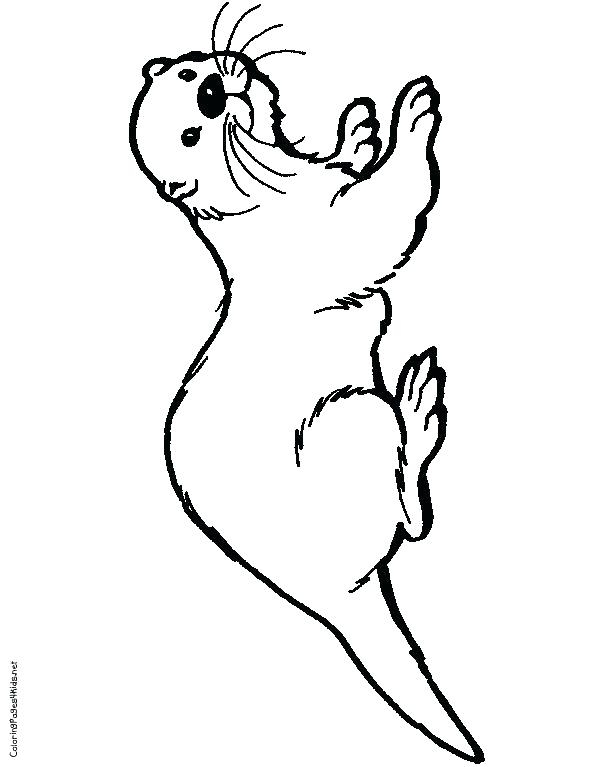 612x767 Otter Drawing Paw For Free Download