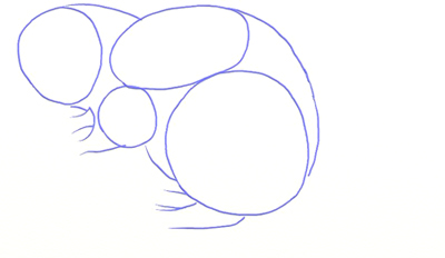 400x232 How To Draw A Beaver