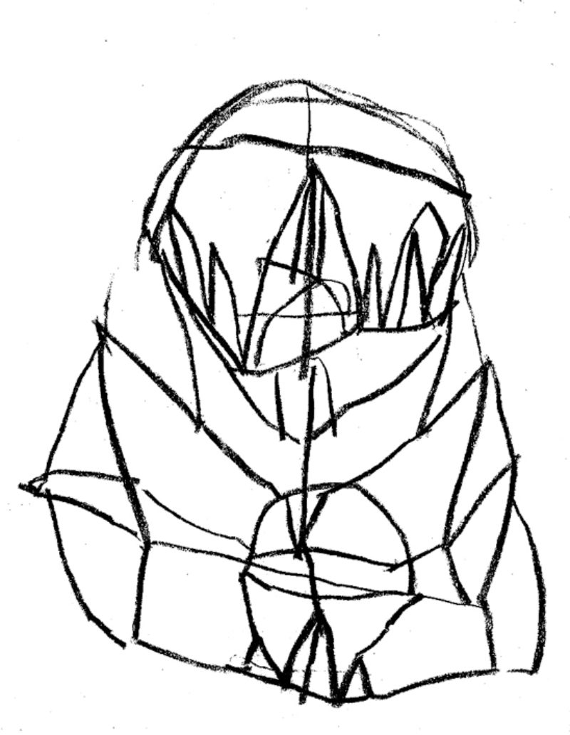 800x1032 Charles Long