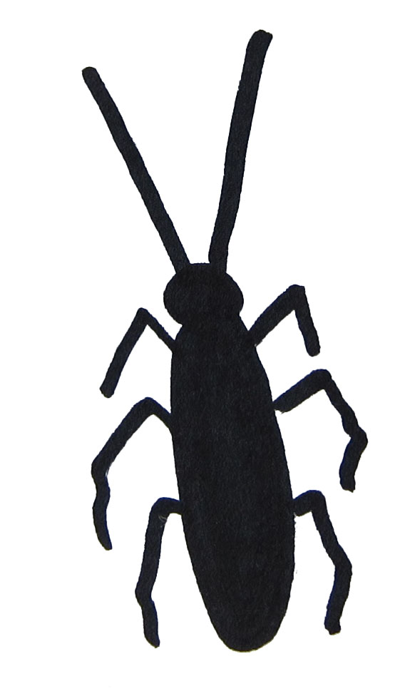Roach Drawing