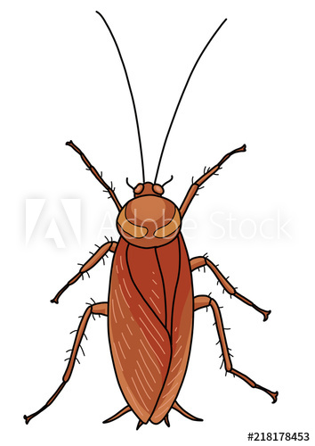354x500 Cockroach Illustration, Doodle, Cartoon, Drawing, Ink, Line Art