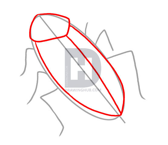 555x480 How To Draw A Cockroach, Step