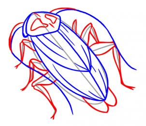 302x261 How To Draw A Cockroach, Step