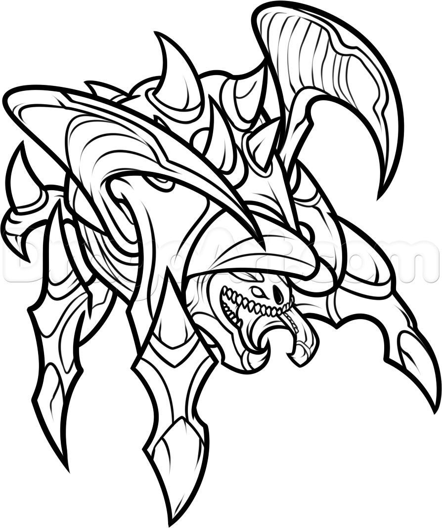 894x1069 How To Draw A Roach From Starcraft Step