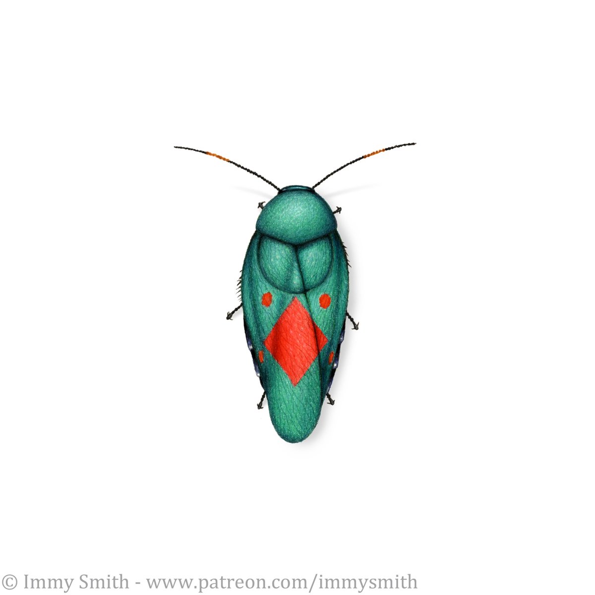 1200x1200 Moths In A Human Suit On Twitter Was My Test Roach