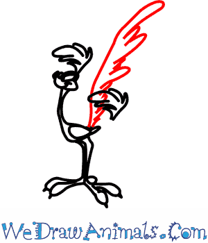 Road Runner Cartoon Drawing | Free download on ClipArtMag