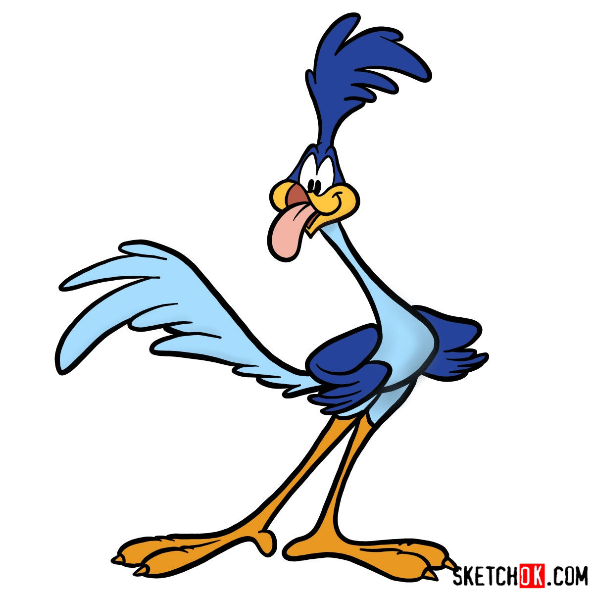 Best How To Draw Road Runner Cartoon Character of the decade Don t miss out 