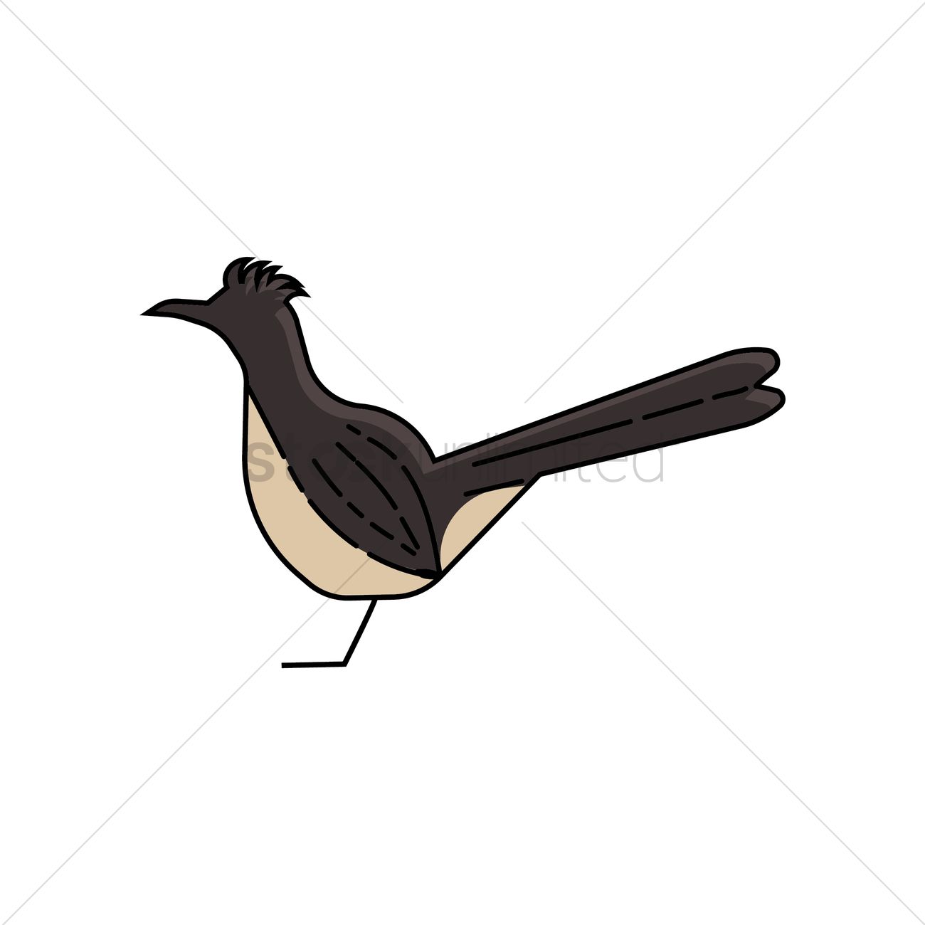 1300x1300 Greater Roadrunner Vector Image