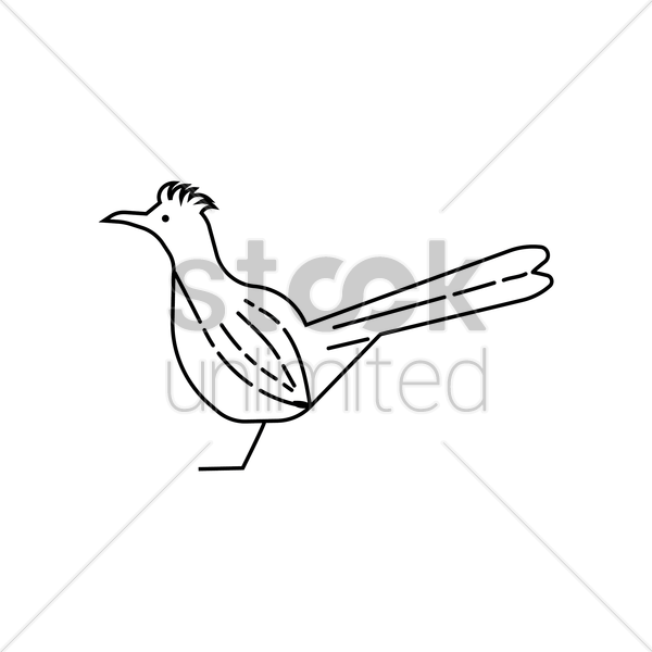 600x600 Greater Roadrunner Vector Image
