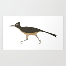 264x264 Road Runner Art Prints