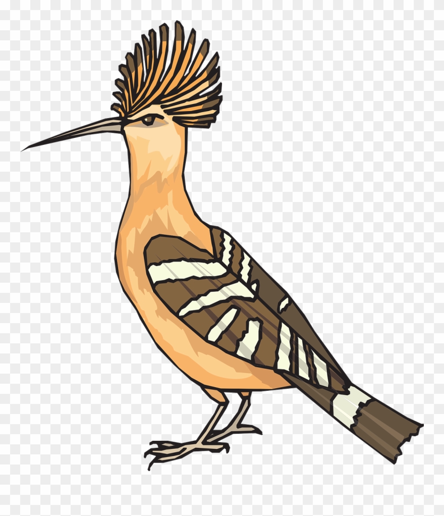 880x1022 Roadrunner Clipart Angry